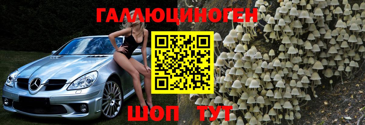 Псилоцибиновые грибы мухоморы Тулун